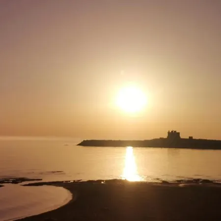 Bagghiu-cicogna Portopalo Di Capo Passero